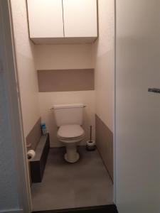 een badkamer met een toilet in een kleine kamer bij Appartement en station de ski à 700 m des télécabines et 100 m du centre-village in Les Carroz d'Araches