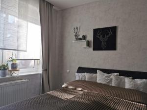 1 dormitorio con cama y ventana en Ferienwohnung Luise, en Naumburg