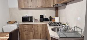 cocina con fregadero y microondas en Thalia Apartment en Sibiu