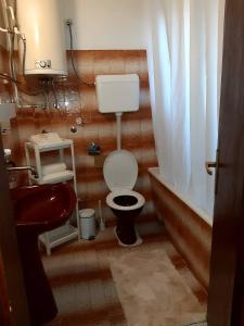 łazienka z toaletą i umywalką w obiekcie Apartment Ljiljan 2 Niš w Niszu