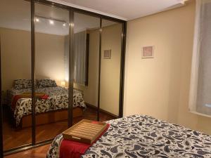 Habitación de hotel con 2 camas y espejo en Apartamento en Solares, en Valdecilla