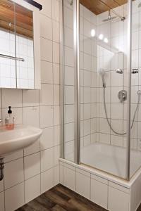 a bathroom with a shower and a sink at Haus Rheinsheimer Scheuer in Philippsburg