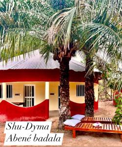 a house with a palm tree and a bench in front of it at Abené shuDyma lodge in Abémé