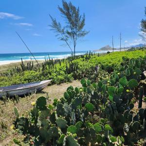 a garden on the beach with a boat at pousada costa do meio in Saquarema +12 photos