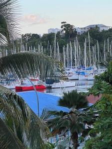 a bunch of boats parked in a marina with palm trees at Duplex Marina gosier- vue Mer et bateaux équipé d'une citerne reliée à l'eau de ville in Le Gosier
