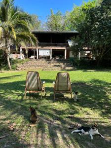 Zahrada ubytování forestel homestay kohkood ฟอเรสเทล โฮมสเตย์ เกาะกูด