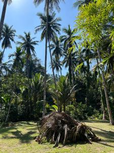 Zahrada ubytování forestel homestay kohkood ฟอเรสเทล โฮมสเตย์ เกาะกูด