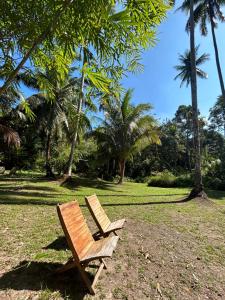 Zahrada ubytování forestel homestay kohkood ฟอเรสเทล โฮมสเตย์ เกาะกูด