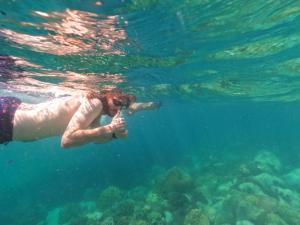 Hosté ubytování forestel homestay kohkood ฟอเรสเทล โฮมสเตย์ เกาะกูด