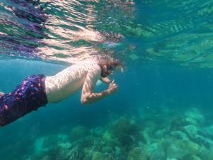 Hosté ubytování forestel homestay kohkood ฟอเรสเทล โฮมสเตย์ เกาะกูด