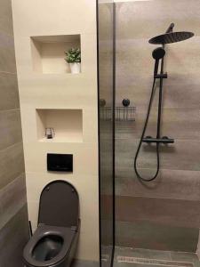 een badkamer met een douche en een toilet in een kamer bij ATH Modern Homes - Luxury Apartment in the City Center in Iaşi