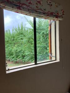 una ventana en una habitación con vistas a los árboles en KARUSA’s Farm Cottage en Oudtshoorn