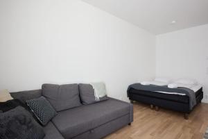 トゥルクにあるNew apartment w/WiFi & car parkのソファとベッドのあるリビングルーム