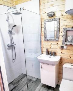 a bathroom with a shower and a toilet and a sink at Czarne Domki Chłopy in Chłopy