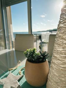 um pote com uma planta sentada numa mesa de vidro em Apartamento Paradis Playa em La Pineda