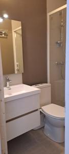 une salle de bain avec un lavabo, des toilettes et un miroir dans l'établissement Les 4 Montagnes, à Villard-de-Lans 39 autres photos