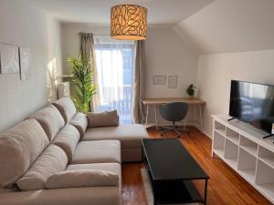 a living room with a couch and a television at Domizil Altötting in Altötting