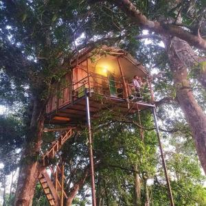 una casa sull'albero al centro di un albero di Pemsee's Tree Town - Eco-friendly,Tree house hostel a Sauraha