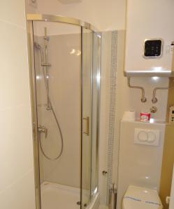 a shower stall in a bathroom with a toilet at Apartments Bohemia - Center in Zlatibor