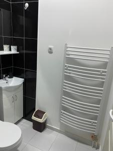 a bathroom with a shower with a toilet and a sink at Lotus house in Zrenjanin +44 photos