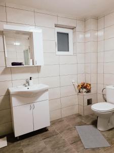 Apartmani Mir A2 في Vrnjačka Banja: حمام مع حوض أبيض ومرحاض