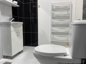 a white bathroom with a toilet and a shower at Lotus house in Zrenjanin