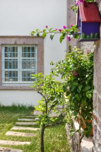 Fotografie z fotogalerie ubytování Lunaria Guest House v destinaci Ayvalık + 37 fotografií
