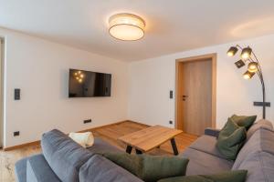TV a/nebo společenská místnost v ubytování Apartment Foidl
