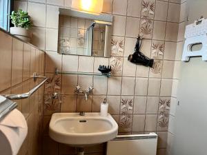 a bathroom with a sink and a mirror at Magnifique Maison près du centre in Nendaz