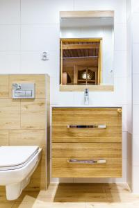 een badkamer met een wastafel en een toilet bij Leśna Ostoya in Białka Tatrzanska +104 foto's