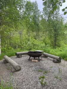 einen Grill und Holzscheite in einem Wald in der Unterkunft Yllästokka 10 in Ylläsjärvi