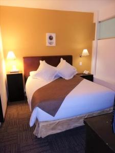 - une chambre avec un grand lit dans une chambre d'hôtel dans l'établissement Suites Teca Once, à Mexico