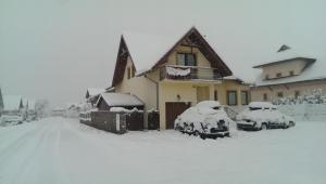 Privat Ivan during the winter