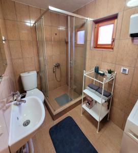a bathroom with a shower and a toilet and a sink at Apartmani D&S in Mokra Gora