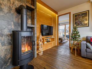 ザコパネにあるVisitZakopane - Dolomite SPA Apartmentのリビングルーム(暖炉、テレビ付)