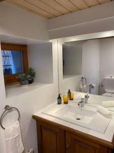 Koupelna v ubytování La Majorie de Nendaz