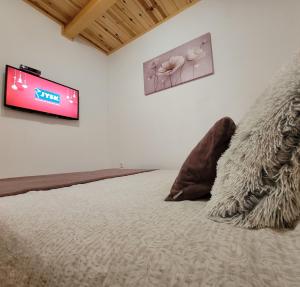 Televisor o centre d'entreteniment de Apartmani D&S