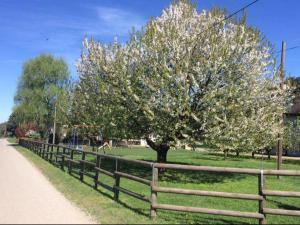索马伦巴多Azienda agrituristica Scotti的相册照片