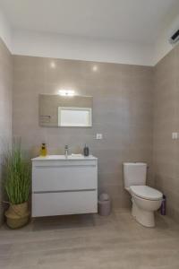 une salle de bain avec un lavabo blanc et des toilettes dans l'établissement COSY LODGE TOULOUSE, à Toulouse