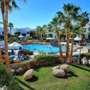 una piscina con palmeras y un complejo en Happy day en Sharm El Sheikh