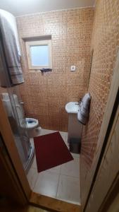 a small bathroom with a toilet and a sink at Brvnare Borove iglice in Vinci