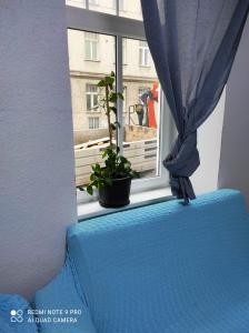 1 dormitorio con ventana, cama azul y planta en Rose Vienna Malfatigasse, en Viena
