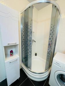 um chuveiro na casa de banho com uma máquina de lavar roupa em Airplane Residence 1 em Otopeni