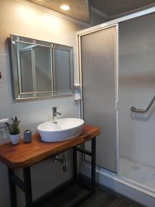 ein Bad mit einem Waschbecken und einer Dusche in der Unterkunft Hostal Ruka Lodge in Villarrica