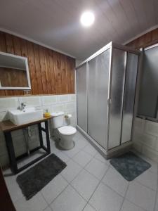 a bathroom with a shower and a toilet and a sink at Hostal Ruka Lodge in Villarrica