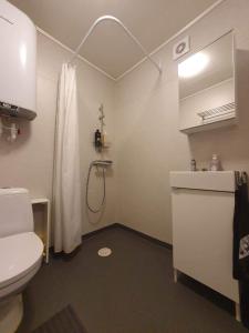 a bathroom with a shower and a toilet and a sink at Stuga i Storklinten in Harads
