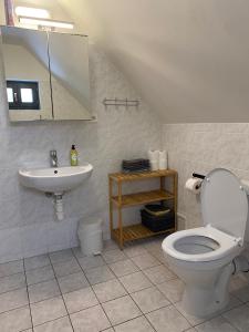 un bagno con un water e un lavandino di Vila 66 - Čistá v Krkonoších a Černý Dŭl Altre 38 foto
