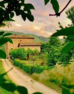 a house on a dirt road next to a dirt road at La Teggia in Monte San Pietro