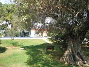 ławka siedząca pod drzewem na podwórku w obiekcie El Trosset w mieście Peñíscola