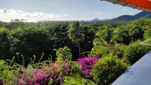 Elle offre une vue sur un jardin agrémenté de fleurs et de palmiers. dans l'établissement Résidence Frangipaniers, à Sainte-Anne